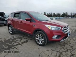 2017 Ford Escape SE with VIN 1FMCU0GD4HUA35103, listed as a Copart auction lot 50725215 with 123,937 mi miles and Salvage Title. Bid and sale history available at carsss.com. Image 4.