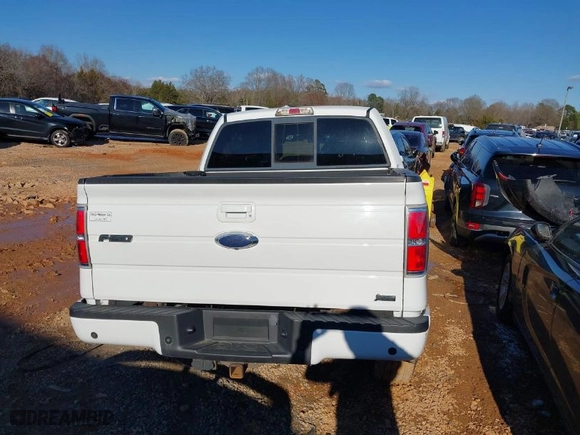 2010 Ford F-150 XL with VIN 1FTFW1EV4AFB70539, listed as a IAAI auction lot 41623542 with 210,322 mi miles. Bid and sale history available at carsss.com. Image 16.