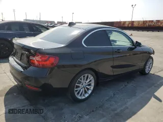 2016 BMW 2 Series 228i with VIN WBA1F9C56GV544978, listed as a Copart auction lot 53974395 with 49,508 mi miles and Salvage title. Bid and sale history available at DreamBid. Image 3.
