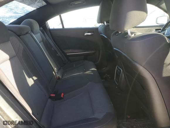 2017 Dodge Charger SXT with VIN 2C3CDXJG7HH653166, listed as a Copart auction lot 45745245 with 190,257 mi miles and Salvage Title. Bid and sale history available at carsss.com. Image 10.