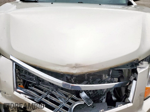 2013 Cadillac SRX Luxury Collection z VIN 3GYFNCE31DS568086, wystawiony jako Copart lot #55923155 z przebiegiem 147 148 mil mil oraz Szkoda całkowita • Salvage title. Historia ofert i sprzedaży dostępna na DreamBid. Obrazek 12.