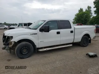 2013 Ford F-150 XL with VIN 1FTFW1CT2DFB46925, listed as a Copart auction lot 62493515 with 212,449 mi miles and Salvage title. Bid and sale history available at DreamBid. Image 1.