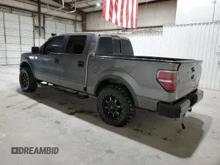 2010 Ford F-150 XL with VIN 1FTFW1EV5AFA74662, listed as a Copart auction lot 48384295 with 234,570 mi miles and Clean Title. Bid and sale history available at carsss.com. Image 2.