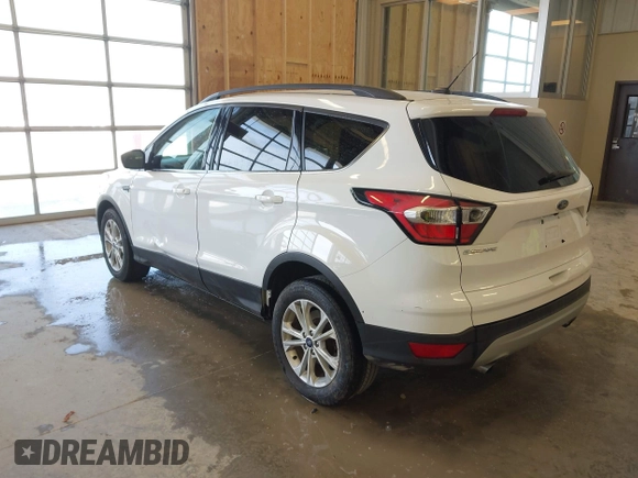 2017 Ford Escape SE z VIN 1FMCU0GD3HUC12658, wystawiony jako IAAI lot #41801033 z przebiegiem 107 662 mil mil oraz . Historia ofert i sprzedaży dostępna na DreamBid. Obrazek 3.