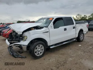 2010 Ford F-150 XL with VIN 1FTEW1C83AFC90616, listed as a Copart auction lot 50960305 with Not Provided miles and Salvage Title. Bid and sale history available at DreamBid. Image 1.