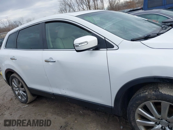 2009 Mazda CX-9 Touring with VIN JM3TB38A190174041, listed as a IAAI auction lot 41684244 with 157,140 mi miles. Bid and sale history available at carsss.com. Image 13.