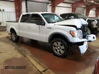 2009 Ford F-150 XL with VIN 1FTPW14VX9FB49308, listed as a Copart auction lot 58503935 with 463,505 mi miles and Clean title. Bid and sale history available at DreamBid. Image 4.