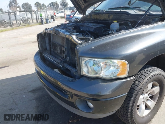 2002 Dodge 1500 with VIN 1D7HU18NX2S607033, listed as a IAAI auction lot 41644160 with 143,736 mi miles and . Bid and sale history available at DreamBid. Image 6.