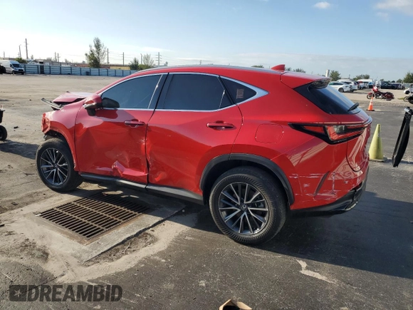 2024 Lexus NX 250 with VIN 2T2ADCAZ8RC006506, listed as a Copart auction lot 56873335 with 55,161 mi miles and Non repairable. Bid and sale history available at DreamBid. Image 2.