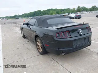 2013 Ford Mustang V6 with VIN 1ZVBP8EM9D5239373, listed as a IAAI auction lot 42373631 with 110,821 mi miles and . Bid and sale history available at DreamBid. Image 3.
