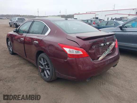 2010 Nissan Maxima SV with VIN 1N4AA5AP2AC809533, listed as a IAAI auction lot 41795703 with 132,961 mi miles and . Bid and sale history available at DreamBid. Image 3.