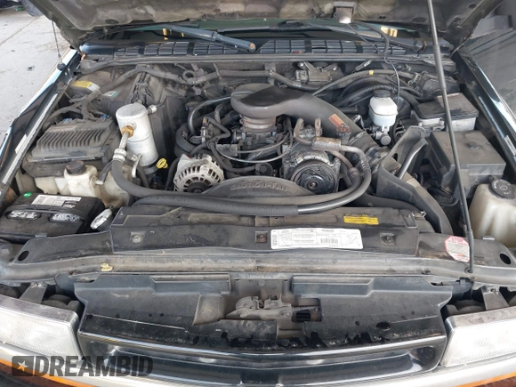 1999 Chevrolet Blazer LS with VIN 1GNCT18W3XK216840, listed as a IAAI auction lot 41534524 with 199,982 mi miles and . Bid and sale history available at DreamBid. Image 10.