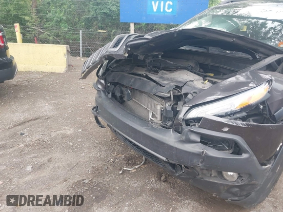 2018 Jeep Cherokee Trailhawk with VIN 1C4PJMBB0JD564792, listed as a IAAI auction lot 42513208 with 173,484 mi miles and . Bid and sale history available at DreamBid. Image 6.
