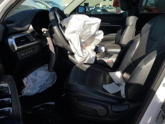 2022 Kia Telluride LX with VIN 5XYP2DHC1NG252839, listed as a Copart auction lot 47855235 with 38,819 mi miles and Salvage Title. Bid and sale history available at DreamBid. Image 7.