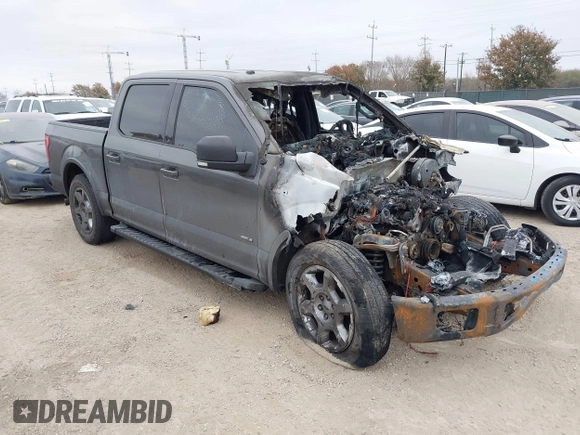 2016 Ford F-150 XL with VIN 1FTEW1CG2GKE82276, listed as a IAAI auction lot 41493644 with Not Provided miles and . Bid and sale history available at carsss.com. Image 1.