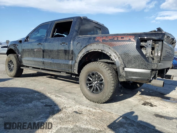 2024 Ford F-150 Raptor with VIN 1FTFW1RG3RFB11151, listed as a Copart auction lot 42825835 with 8,270 mi miles and Salvage Title. Bid and sale history available at DreamBid. Image 2.