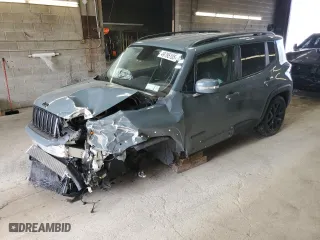 2017 Jeep Renegade Altitude with VIN ZACCJBBB0HPF39731, listed as a Copart auction lot 49795105 with 0 mi miles and Salvage Title. Bid and sale history available at carsss.com. Image 1.