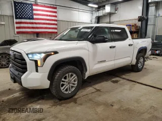 2023 Toyota Tundra SR5 with VIN 5TFLA5DB3PX113090, listed as a Copart auction lot 55442595 with 51,994 mi miles and Salvage title. Bid and sale history available at DreamBid. Image 1.