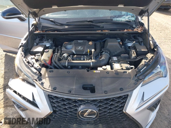 2019 Lexus NX 300 with VIN JTJBARBZ6K2196746, listed as a IAAI auction lot 42093923 with 51,069 mi miles and . Bid and sale history available at DreamBid. Image 10.