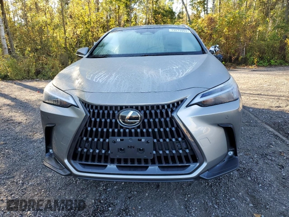 2023 Lexus NX with VIN 2T2GKCEZXPC012007, listed as a Copart auction lot 73273994 with 20,893 mi miles and Salvage Title. Bid and sale history available at carsss.com. Image 5.