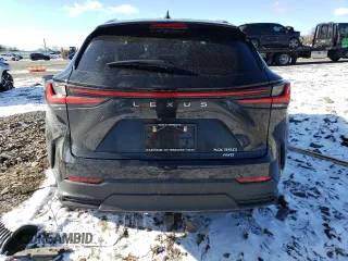2022 Lexus NX with VIN JTJGGCEZ3N2005494, listed as a Copart auction lot 41362565 with 0 mi miles and Salvage Title. Bid and sale history available at carsss.com. Image 6.