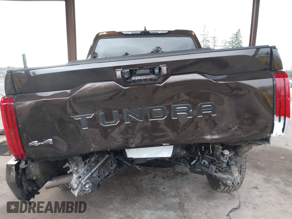 2023 Toyota Tundra Limited with VIN 5TFJA5DB9PX125400, listed as a IAAI auction lot 41336129 with 12,384 mi miles and . Bid and sale history available at DreamBid. Image 6.
