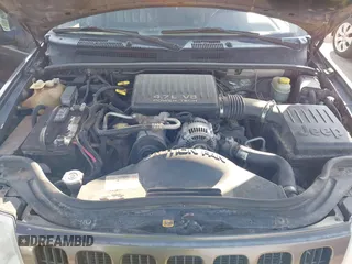 2000 Jeep Grand Cherokee Limited с VIN 1J4GW58N8YC241982, выставлен на аукционе IAAI как лот 42481556 с пробегом 179 233 миль миль и . История ставок и продаж доступна на DreamBid. Изображение 10.
