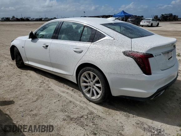 2020 Cadillac CT5 Luxury with VIN 1G6DM5RK9L0126887, listed as a Copart auction lot 76108594 with Not provided miles and Non repairable. Bid and sale history available at DreamBid. Image 2.