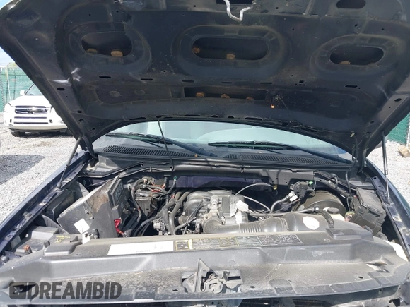 2003 Ford F-150 XL with VIN 1FTRX17223NB22897, listed as a IAAI auction lot 42166965 with 207,627 mi miles and . Bid and sale history available at DreamBid. Image 10.