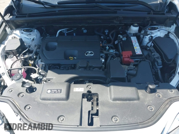 2025 Lexus NX 250 Premium with VIN JTJGDCAZ6S5024713, listed as a IAAI auction lot 42020261 with 5,833 mi miles and . Bid and sale history available at DreamBid. Image 10.