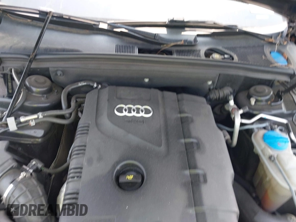 2013 Audi A4 Premium Plus с VIN WAUFFAFL8DN033415, выставлен на аукционе IAAI как лот 42458339 с пробегом Не указан миль и . История ставок и продаж доступна на DreamBid. Изображение 10.