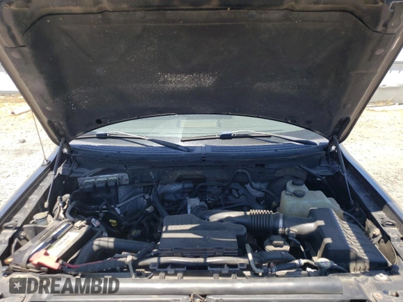 2010 Ford F-150 XL with VIN 1FTEX1CW5AKE07504, listed as a Copart auction lot 61187575 with 176,296 mi miles and Salvage title. Bid and sale history available at DreamBid. Image 11.