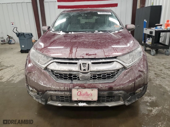 2019 Honda CR-V EX-L with VIN 2HKRW2H83KH657442, listed as a Copart auction lot 45882405 with 54,931 mi miles and Salvage Title. Bid and sale history available at carsss.com. Image 5.