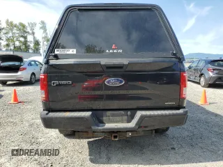2015 Ford F-150 XLT with VIN 1FTEX1E81FFC59138, listed as a Copart auction lot 64074145 with 186,962 mi miles and Salvage title. Bid and sale history available at DreamBid. Image 6.