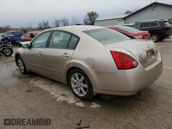 2004 Nissan Maxima SL with VIN 1N4BA41E44C893078, listed as a Copart auction lot 81782444 with Not Provided miles and Salvage Title. Bid and sale history available at DreamBid. Image 2.