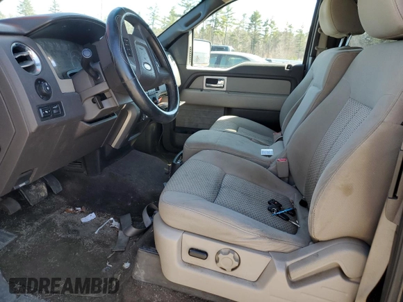 2010 Ford F-150 XL with VIN 1FTEX1C86AFA31700, listed as a Copart auction lot 53160385 with Not Provided miles and Clean Title. Bid and sale history available at carsss.com. Image 7.