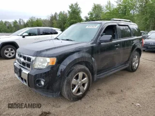 2010 Ford Escape Limited with VIN 1FMCU9EG8AKD13892, listed as a Copart auction lot 62476525 with 274,338 mi miles and Clean title. Bid and sale history available at DreamBid. Image 1.