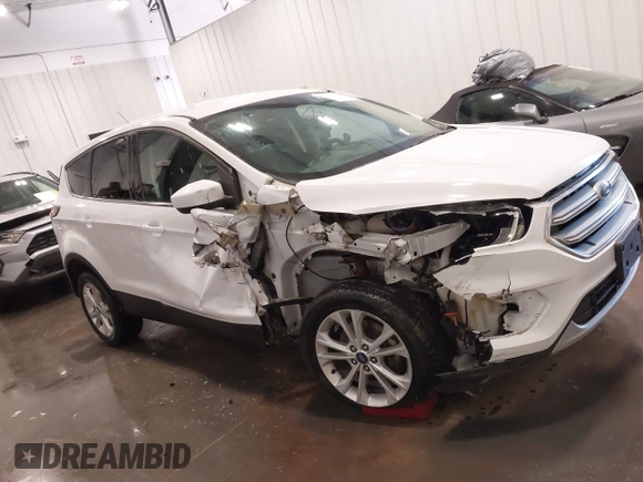 2017 Ford Escape SE with VIN 1FMCU0GD2HUA41059, listed as a IAAI auction lot 41785636 with 177,135 mi miles. Bid and sale history available at carsss.com. Image 12.