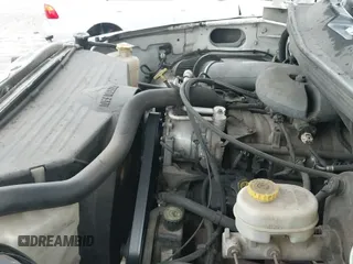 1998 Dodge 1500 z VIN 1B7HF16Z9WS530445, wystawiony jako IAAI lot #42691198 z przebiegiem 315 519 mil mil oraz . Historia ofert i sprzedaży dostępna na DreamBid. Obrazek 12.