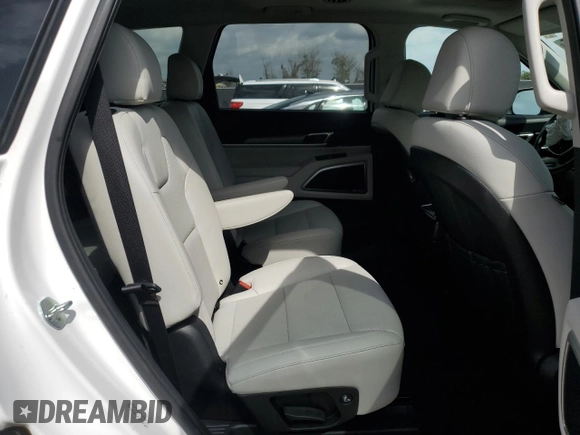 2022 Kia Telluride S with VIN 5XYP64HC8NG291769, listed as a Copart auction lot 47357995 with 41,982 mi miles and Salvage title. Bid and sale history available at DreamBid. Image 11.