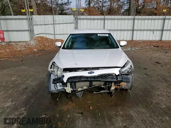 2015 Kia Cadenza Premium with VIN KNALN4D77F5190448, listed as a Copart auction lot 85094084 with 94,277 mi miles and Salvage Title. Bid and sale history available at carsss.com. Image 14.