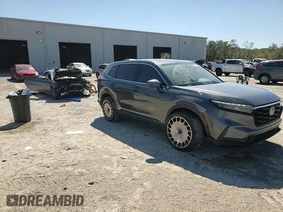 2025 Honda CR-V EX with VIN 2HKRS4H41SH404849, listed as a Copart auction lot 48743805 with 22,275 mi miles and Salvage Title. Bid and sale history available at DreamBid. Image 11.