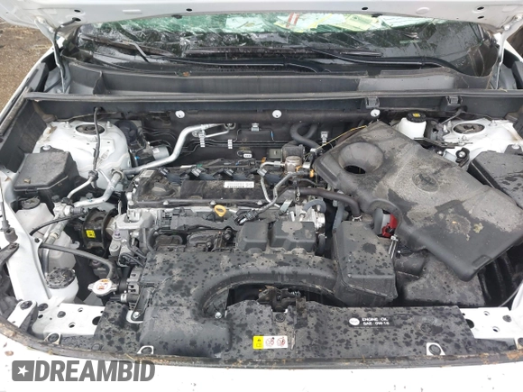 2022 Toyota RAV4 XLE Premium z VIN 2T3A1RFV1NW312419, wystawiony jako IAAI lot #42361686 z przebiegiem 14 291 mil mil oraz . Historia ofert i sprzedaży dostępna na DreamBid. Obrazek 10.