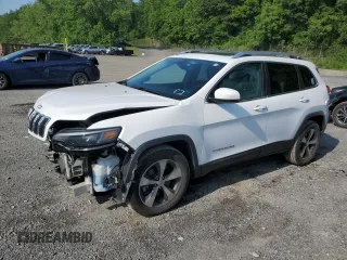 2019 Jeep Cherokee Limited with VIN 1C4PJMDX1KD293624, listed as a Copart auction lot 61102005 with 57,321 mi miles and Salvage title. Bid and sale history available at DreamBid. Image 1.