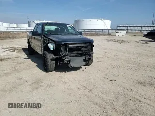 2013 Ford F-150 XL with VIN 1FTFX1EFXDFD26755, listed as a Copart auction lot 49045485 with 122,854 mi miles and Clean Title. Bid and sale history available at DreamBid. Image 11.