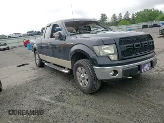 2009 Ford F-150 STX with VIN 1FTRX14819KB81135, listed as a Copart auction lot 61414765 with Not provided miles and Salvage title. Bid and sale history available at DreamBid. Image 13.