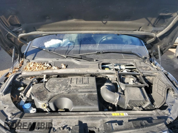 2019 Land Rover Range Rover Evoque SE with VIN SALVP2RXXKH345014, listed as a Copart auction lot 87352994 with 40,031 mi miles and Salvage Title. Bid and sale history available at carsss.com. Image 11.