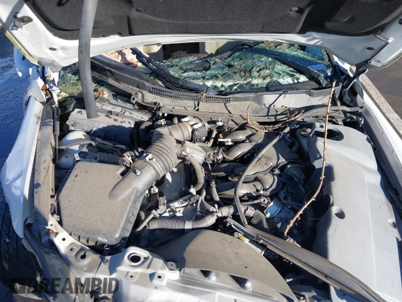 2006 Lexus IS 250 with VIN JTHBK262165021067, listed as a IAAI auction lot 41561905 with Not provided miles and . Bid and sale history available at DreamBid. Image 10.