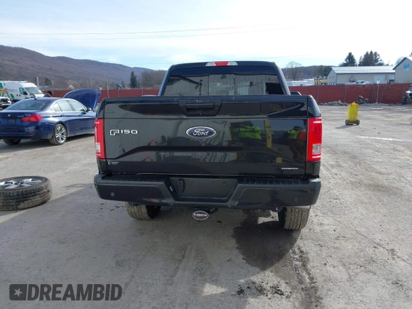 2016 Ford F-150 XLT with VIN 1FTEW1EF0GFB46896, listed as a IAAI auction lot 41666886 with 156,895 mi miles and . Bid and sale history available at carsss.com. Image 17.