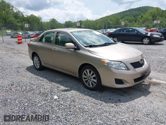 2010 Toyota Corolla with VIN 1NXBU4EE8AZ214135, listed as a IAAI auction lot 42522421 with 72,726 mi miles and . Bid and sale history available at DreamBid. Image 1.